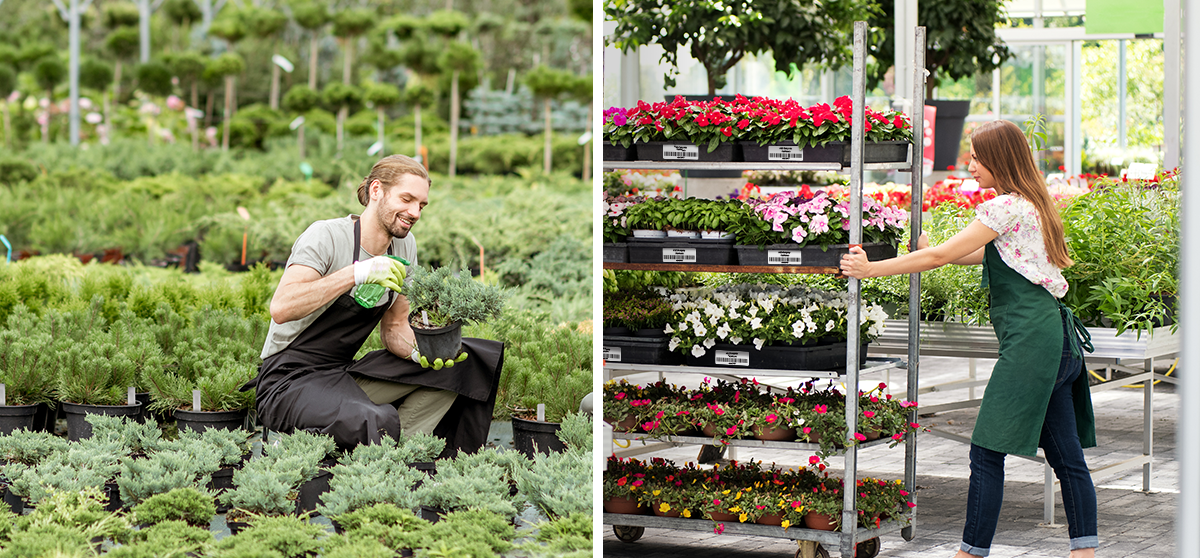 Track Plant Inventory with Confidence Using Our Thermal Printers Designed for the Horticulture Industry