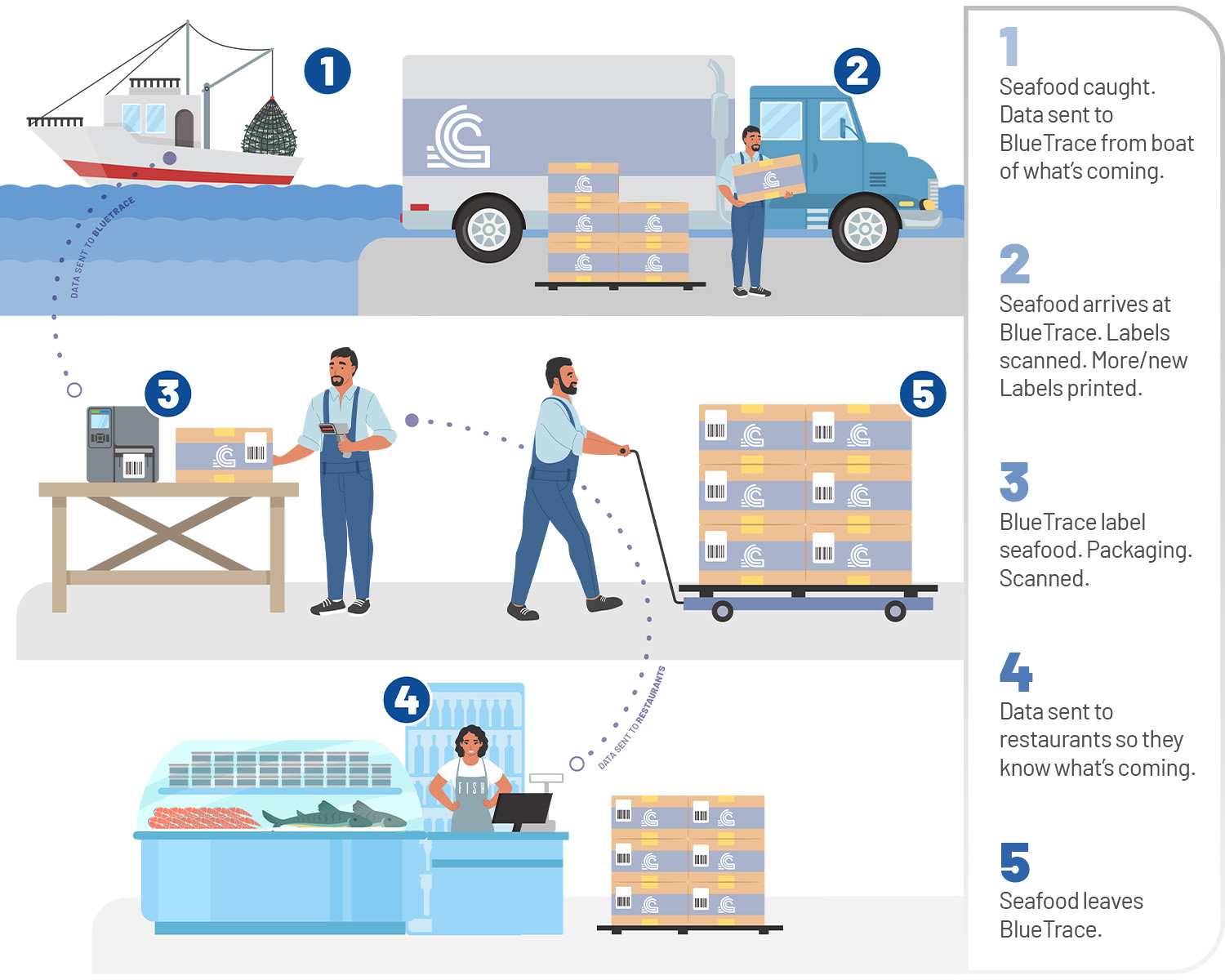 Figure 1: Process of BlueTrace shipments from being freshly caught to restaurant delivery.