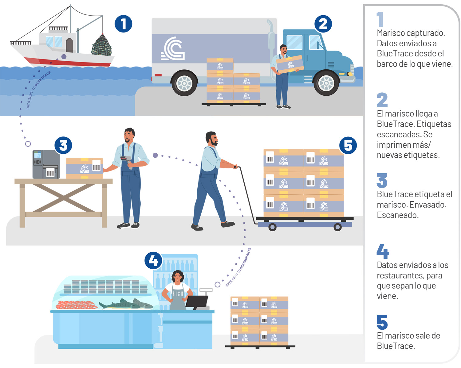 Figura 1: Proceso de los envíos BlueTrace desde que se pescan frescos hasta que se entregan en el restaurante. Detalles del recorrido en 5 pasos a la izquierda.