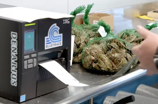 Seafood Labeling Solutions: How BlueTrace Reels in Efficiency, Compliance