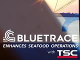 Caso de estudio: BlueTrace mejora las operaciones de mariscos con TSC Auto ID