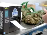 Seafood Labeling Solutions: How BlueTrace Reels in Efficiency, Compliance